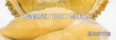 榴蓮熟透了和壞了怎樣區(qū)分