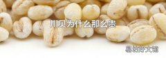 川貝為什么那么貴