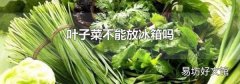葉子菜不能放冰箱嗎