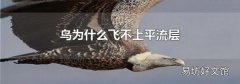 鸟为什么飞不上平流层