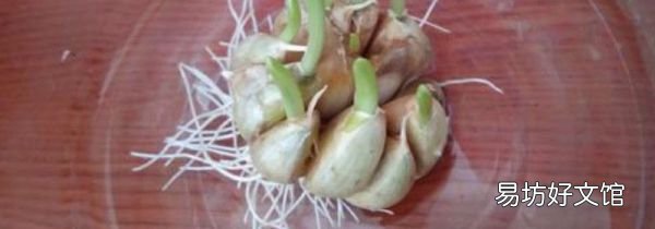 大蒜綠了還能吃嗎