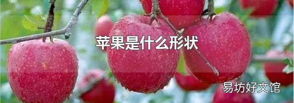 蘋果是什么形狀
