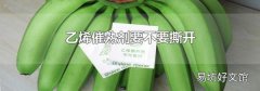 乙烯催熟劑要不要撕開