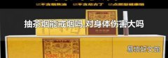 抽茶煙能戒煙嗎,對身體傷害大嗎