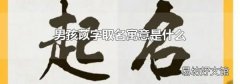 男孩苡字取名寓意是什么