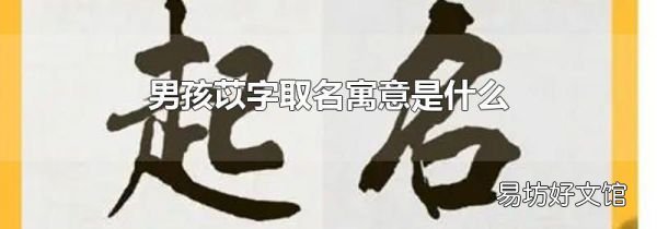 男孩苡字取名寓意是什么