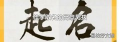 佳字取名的寓意男孩
