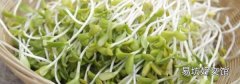 芽菜和梅干菜的区别