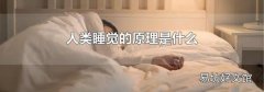 人類(lèi)睡覺(jué)的原理是什么