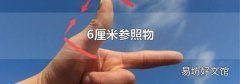 6厘米參照物