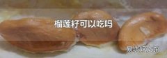 榴蓮籽可以吃嗎