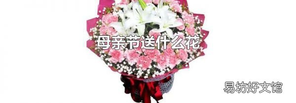 母親節(jié)送什么花