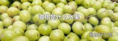 油柑是什么水果