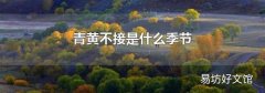 青黃不接是什么季節(jié)