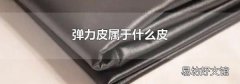 彈力皮屬于什么皮