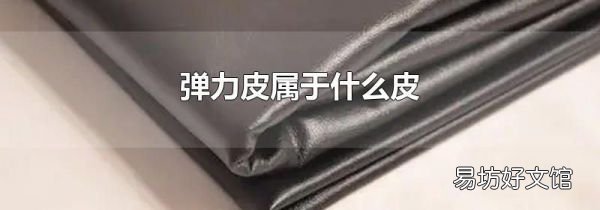 彈力皮屬于什么皮