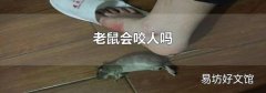 老鼠會(huì)咬人嗎