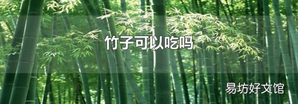 竹子可以吃嗎