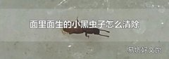 面里面生的小黑蟲子怎么清除