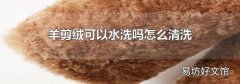 羊剪絨可以水洗嗎怎么清洗
