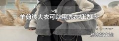 羊剪絨大衣可以用洗衣機洗嗎?