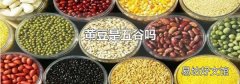 黃豆是五谷嗎