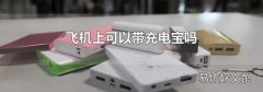 飛機上可以帶充電寶嗎