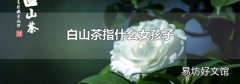 白山茶指什么女孩子