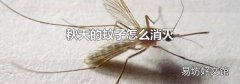 秋天的蚊子怎么消灭