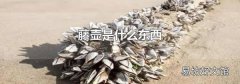 藤壺是什么東西