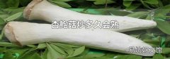 杏鮑菇炒多久會熟