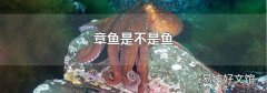章魚是不是魚