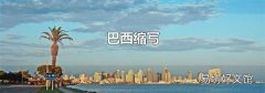 巴西縮寫