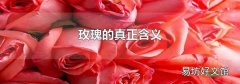 玫瑰的真正含義