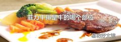 菲力牛排是牛的哪個(gè)部位