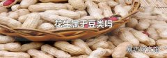 花生屬于豆類嗎