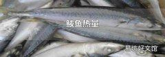 鲅魚熱量