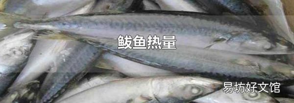 鲅魚熱量