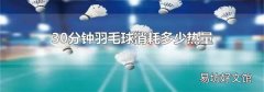 30分鐘羽毛球消耗多少熱量