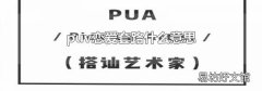 puv恋爱套路什么意思