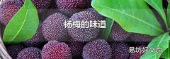 杨梅的味道