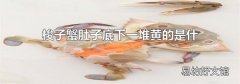 梭子蟹肚子底下一堆黃的是什么