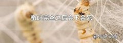 蚕吐完丝之后会不会死