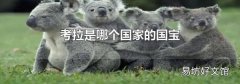 考拉是哪個(gè)國(guó)家的國(guó)寶