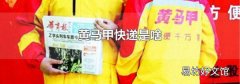 黃馬甲快遞是啥