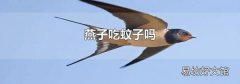 燕子吃蚊子嗎