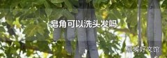 皂角可以洗頭發(fā)嗎