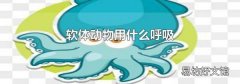 軟體動(dòng)物用什么呼吸