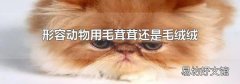 形容动物用毛茸茸还是毛绒绒