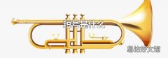 短號是什么